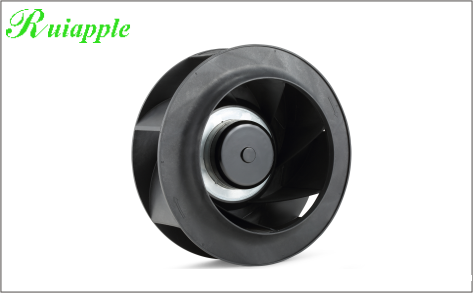 kaiyun体育网品牌大使鲁尼常见的问题有哪些？