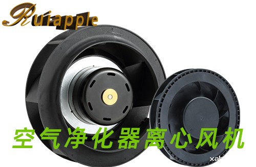 空气净化器kaiyun体育网品牌大使鲁尼